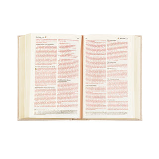 NLT Compact Bible: Casablanca Theme