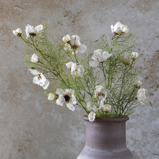 Faux Cosmos - Cream