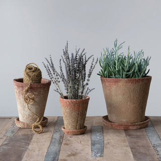Rustic Terracotta Planter with Saucer (more sizes)
