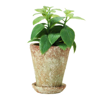 Rustic Terracotta Planter with Saucer (more sizes)