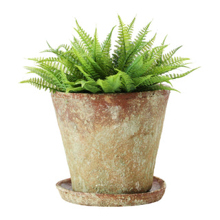 Rustic Terracotta Planter with Saucer (more sizes)