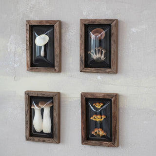IMPERFECT FINAL SALE Enchanted Mushroom Shadow Box (more styles)