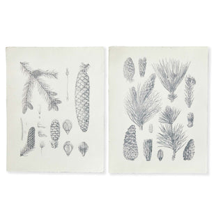 Handmade Paper Pinecone Print