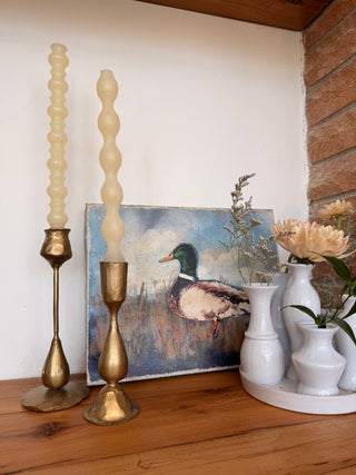 Winslow Duck Canvas