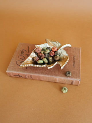 Bag of Putka Pods