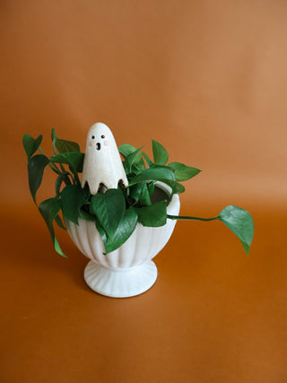 Ghost Plant Stick Single