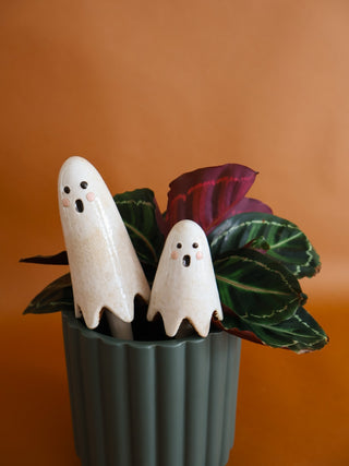 Ghost Plant Stick Single