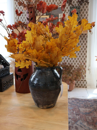 Preserved Oak Leaves (more colors)