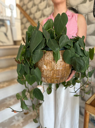 CANNOT SHIP | Vintage Checker Pot