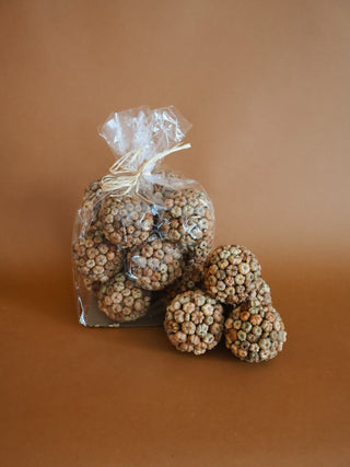 Dried Pod Orbs