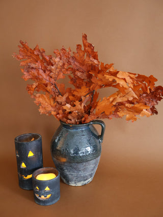 Preserved Oak Leaves (more colors)