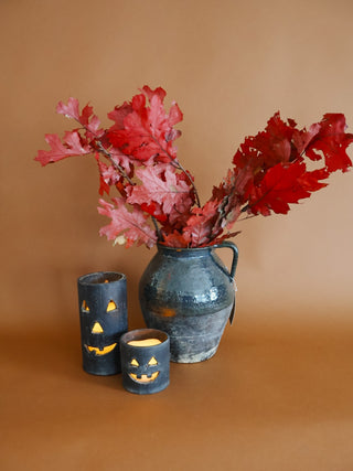 Preserved Oak Leaves (more colors)