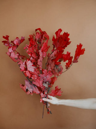 Preserved Oak Leaves (more colors)