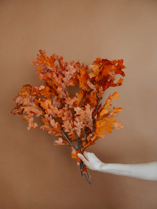 Preserved Oak Leaves (more colors)