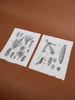 Handmade Paper Pinecone Print