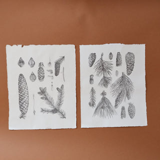 Handmade Paper Pinecone Print