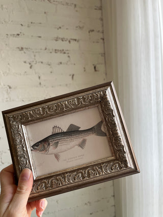 IMPERFECT FINAL SALE Wall Art - Animal Friends