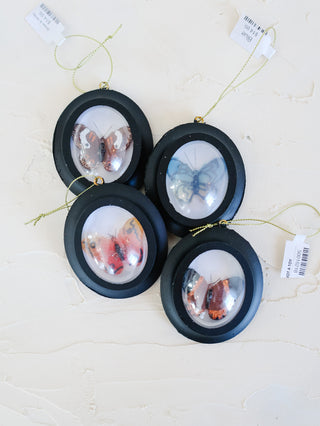 Framed Butterfly Ornament