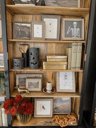Spiders Framed Wall Art