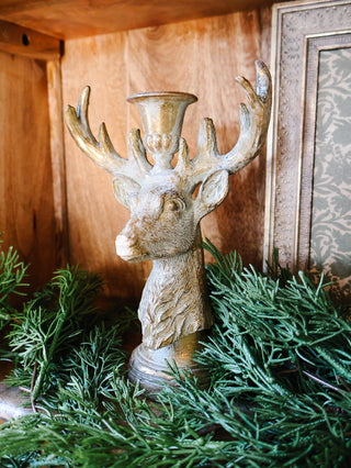 Buck Taper Holder *online exclusive*