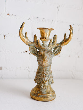 Buck Taper Holder *online exclusive*