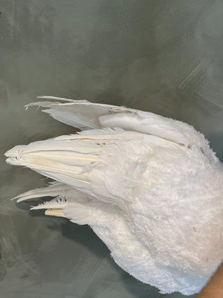 IMPERFECT FINAL SALE Oversized Swan Decor *online exclusive*