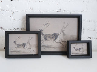 Two Stags Running Framed Wall Art