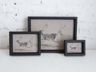 Two Stags Running Framed Wall Art
