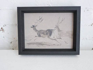 Two Stags Running Framed Wall Art