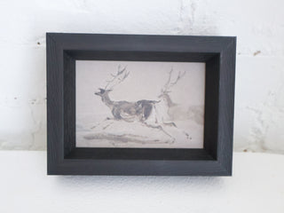 Two Stags Running Framed Wall Art