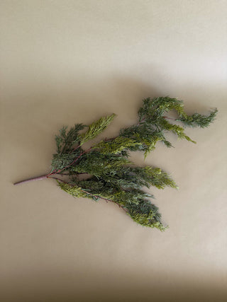 Faux Cedar Stem