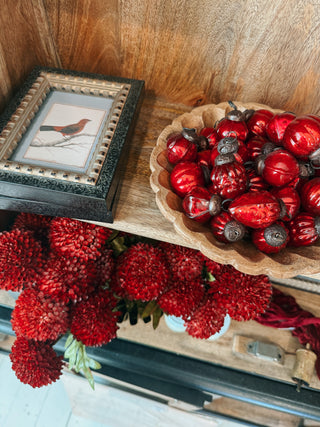 Red Bird Framed Wall Art
