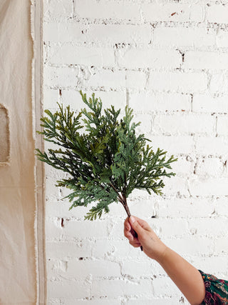 Textured Cedar Spray Pick