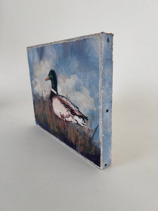 Winslow Duck Canvas