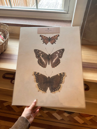 CANNOT SHIP | Three Butterflies Wall Art Board Print