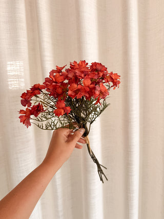 Autumn Cosmos Flower Bundle