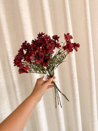 Autumn Cosmos Flower Bundle