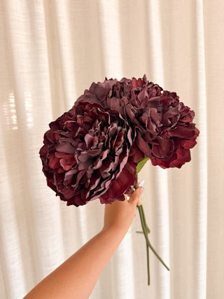 Burgundy Peony Bundle of 3
