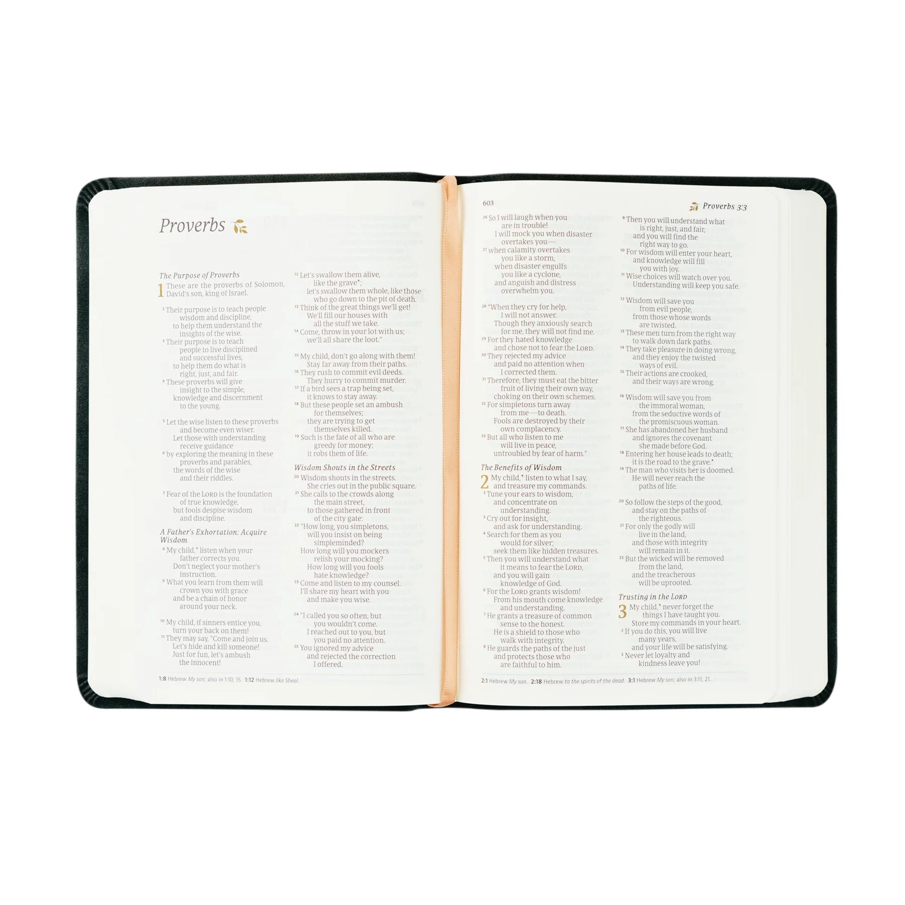 NLT Compact Bible - Jerusalem Theme – Wildfire Hygge Goods