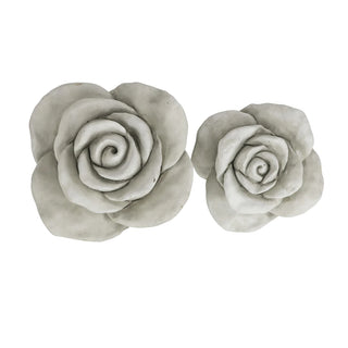 Concrete Rose
