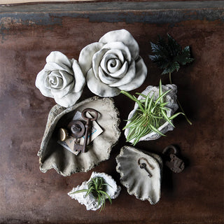Concrete Rose