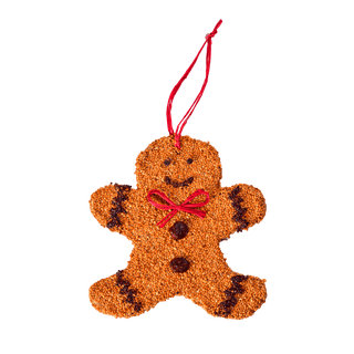 Gingerbread Man Bird Feeder