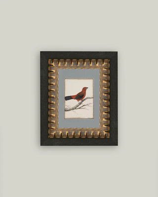 Red Bird Framed Wall Art