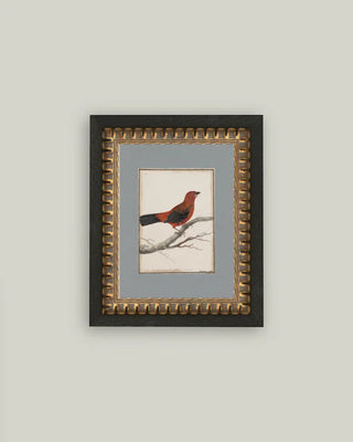 Red Bird Framed Wall Art