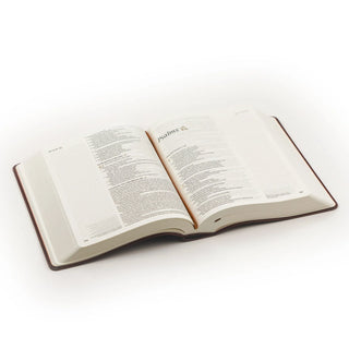 NLT Notetaking Bible : Santa Elena