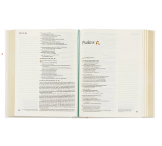 NLT Notetaking Bible - Lisbon Theme