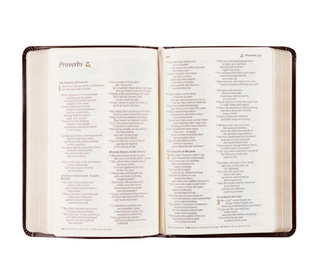 NLT Compact Bible - Yorkshire