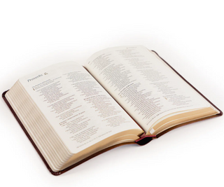 NLT Compact Bible - Yorkshire