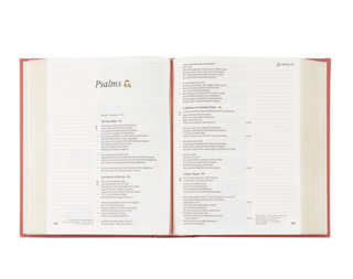 CSB Notetaking Bible - Rodedal Theme