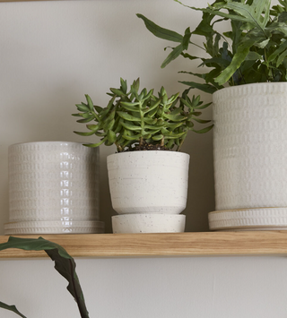 Milly Planter With Saucer